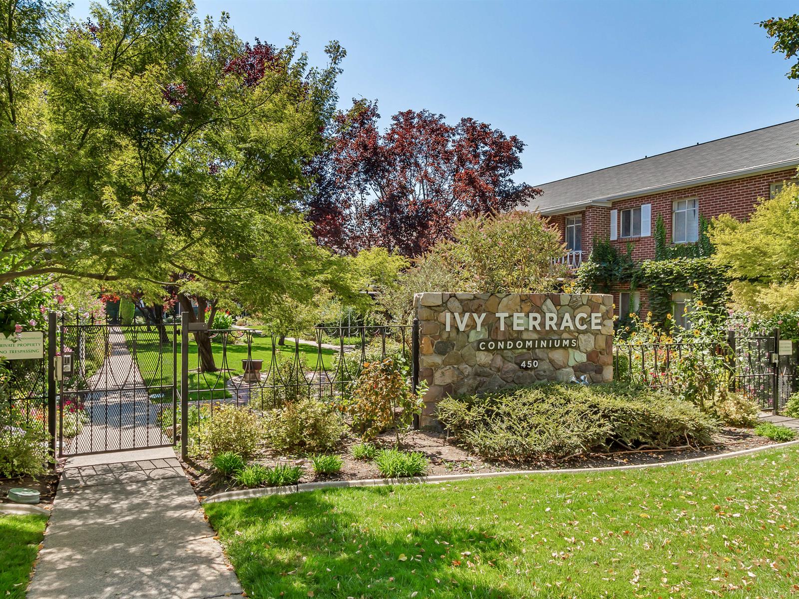 Ivy Terrace League of Your Own